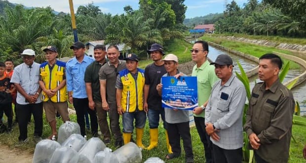 Bupati Gus Irawan membuka Lubuk Larangan sekaligus menabur 6.000 benih ikan mas, tawes, jurung, baung, dan lampam di Bendungan Irigasi Batang Angkola, Desa Aek Libung, Kecamatan Sayur Matinggi. Minggu, (18/05/2025).