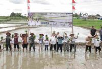 Wali Kota Pematangsiantar, Wesly Silalahi, bersama Forkopimda melaksanakan acara tanam padi serentak di lahan persawahan Blok 3 Kelurahan Bah Sorma Kecamatan Siantar Sitalasari, Jumat (23/5/2025).