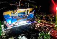  angkutan desa (angdes) merek Serigala dengan nomor polisi BK 1569 WV tertimpa pohon tumbang di Jalan Asahan, tepat di depan Makorem 0207/Simalungun, Rabu (18/6/2025) sekitar pukul 18.50 WIB.