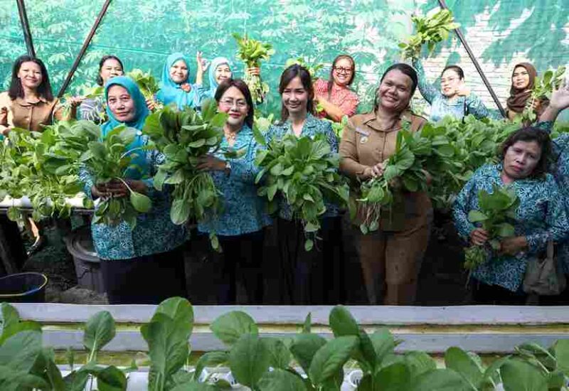 Ketua TP PKK Kota Pematangsiantar Ny Liswati Wesly Silalahi, bersama Ketua PKK Kecamatan Siantar Utara Caroline Apriliana Simanjuntak, Ketua PKK Kelurahan Kahean Rahmadani, bersama para kader PKK serta Lurah Kahean Aprita Pronika Sagala,S.Si.,M.Si saat memanen sayuran hidroponik di Halaman Kantor Kelurahan Kahean. Selasa, (03/06/2025).