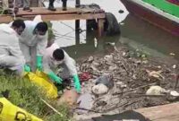 kondisi mayat saat dievakuasi di seputaran kawasan Perumahan Woles, Selasa (17/06/2025), sekitar sore hari. (Foto : Rizki)