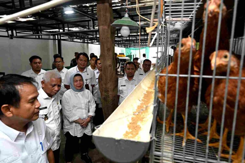 Wakil Gubernur Sumatera Utara (Sumut) Surya memimpin Rapat Evaluasi Retribusi Pengelolaan Retribusi Daerah Dinas Lingkungan Hidup dan Kehutanan (DLHK) Sumut di Kantor DLHK Sumut, Jalan Sisingamangaraja Nomor 14, Medan, Rabu (9/7/2025). 