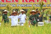 Wakil Gubernur Sumatera Utara (Sumut) Surya bersama Panglima TNI Jenderal TNI Agus Subiyanto melakukan Panen Raya Padi Lahan Ketahanan Pangan Kodam I / Bukit Barisan di Desa Perkebunan Ramunia Kecamatan Pantai Labu, Kabupaten Deliserdang, Kamis (10/7/2025).