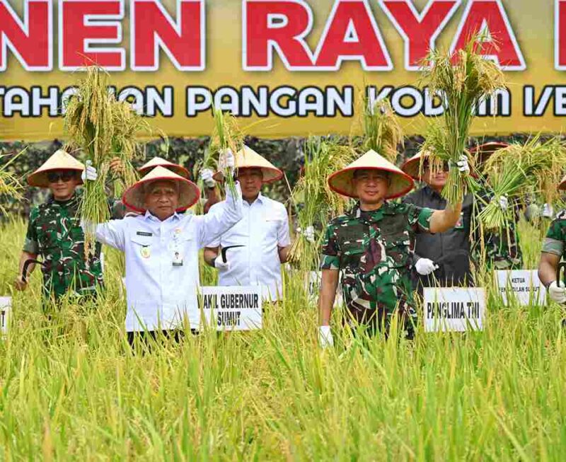 Wakil Gubernur Sumatera Utara (Sumut) Surya bersama Panglima TNI Jenderal TNI Agus Subiyanto melakukan Panen Raya Padi Lahan Ketahanan Pangan Kodam I / Bukit Barisan di Desa Perkebunan Ramunia Kecamatan Pantai Labu, Kabupaten Deliserdang, Kamis (10/7/2025).