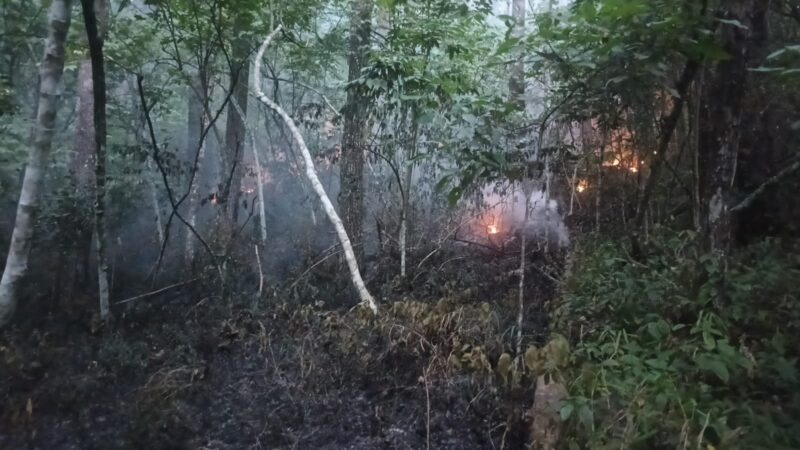 kebakaran yang mengancam kelestarian hutan di kawasan Danau Toba. Kejadian yang terjadi pada Rabu sore, 9 Juli 2025 sekira pukul 18.30 WIB.