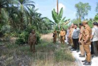 Bupati Asahan, Taufik Zainal Abidin Siregar, S.Sos., M.Si mendampingi Pelaksana Tugas (Plt) Direktur Jenderal (Dirjen) Perkebunan Kementerian Pertanian Republik Indonesia (Kementan RI), Dr. Abdul Roni Angkat saat melakukan peninjauan langsung ke lokasi cetak sawah di Desa Silo Bonto, Kecamatan Silau Laut, Kabupaten Asahan. Senin (28/07/2025). 