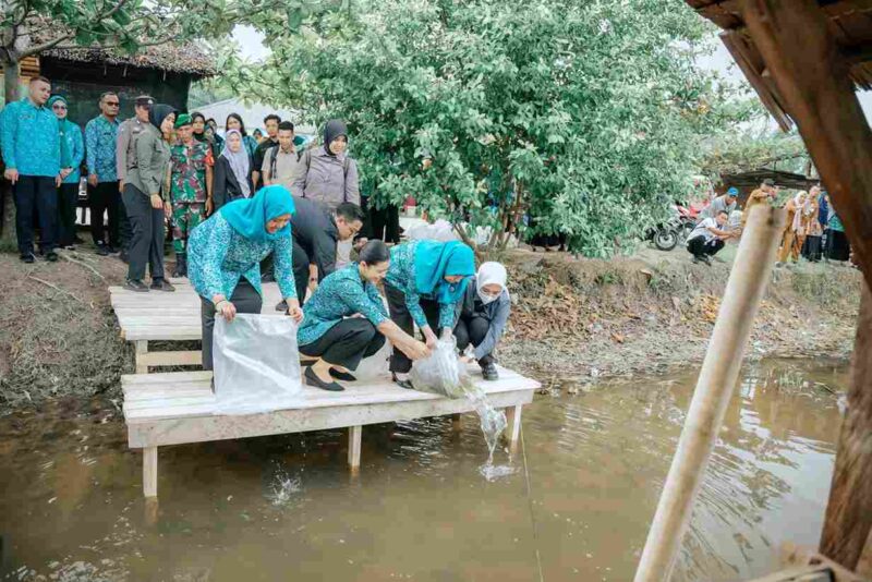 etua Tim Penggerak (TP) Pemberdayaan dan Kesejahteraan Keluarga (PKK) Provinsi Sumatera Utara (Sumut) Kahiyang Ayu, bersama Staf Ahli I TP PKK Sumut Titiek Sugiharti, menabur 15.000 benih ikan nila, di Desa Pematangserai, Kecamatan Tanjungpura, Kabupaten Langkat, Selasa (5/8/2025). 