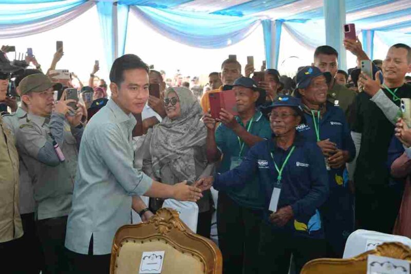 Wakil Presiden (Wapres) Gibran Rakabuming menghadiri Panen Raya Jagung di Desa Mulya Sari, Kecamatan Tanjung Lago, Kabupaten Banyuasin, Sumatera Selatan, Kamis (25/9/2025).
