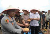  panen raya jagung yang digelar Polres Asahan bersama Forkopimda Kabupaten Asahan di Desa Perhutaan Silau, Kecamatan Pulo Bandring, dengan luas lahan 10 hektare. 