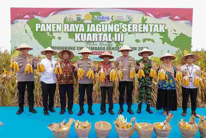 Panen Raya Jagung Serentak Kuartal III di Jalan Sultan Serdang, Desa Telaga Sari, Kabupaten Deli Serdang, Sabtu (27/9/2025).