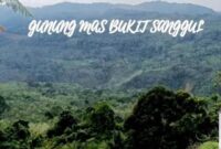 Kawasan Hutan Gunung Mas Bukit Sanggul yang rencananya akan di ubah menjadi tambang emas. (Foto : David)