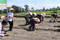 Kapolres Pematangsiantar AKBP Sah Udur T.M. Sitinjak, S.H., S.I.K., M.H. memimpin kegiatan Penanaman Jagung Serentak Kuartal IV Tahun 2025 yang dirangkai dengan Gerakan Pangan Murah (GPM) Polri, Rabu (8/10/2025) pukul 08.30 WIB di Jalan Bahkora II, Kelurahan Pematang Marihat, Kecamatan Siantar Marihat, Kota Pematangsiantar.