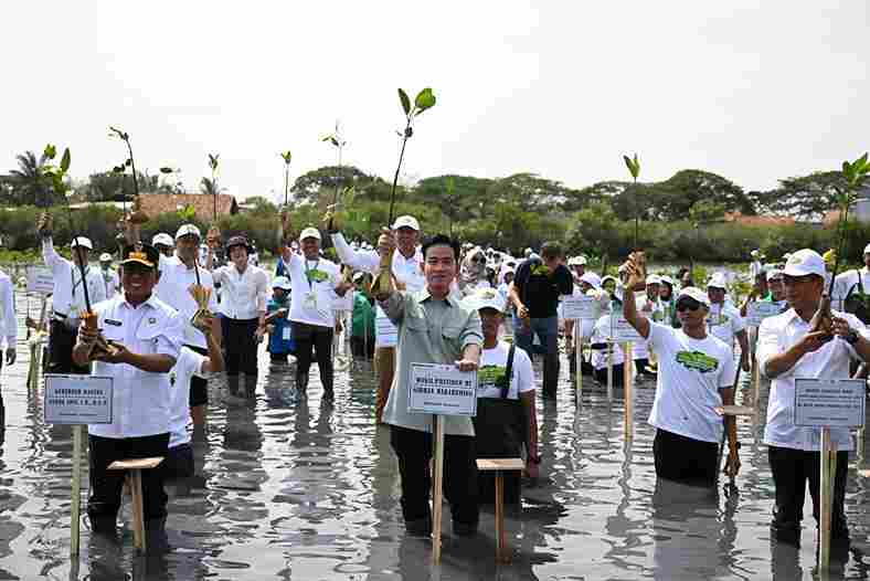 Wakil Presiden Gibran Rakabuming Raka saat menanam mangrove di Taman Mangrove Ketapang, Kecamatan Mauk, Kabupaten Tangerang, Banten, Senin (27/10/2025).