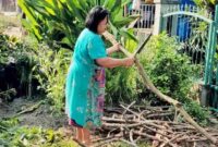 Seorang warga sedang memotong ranting pohon yang telah ditebang. 