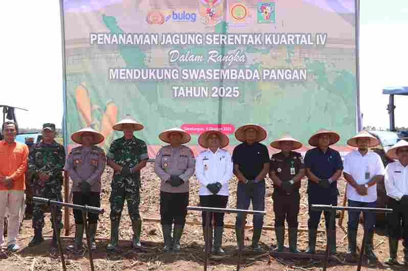  Kapolres Simalungun AKBP Marganda Aritonang, S.H., S.I.K., M.M., bersama jajaran Forkopimda Kabupaten Simalungun mengikuti kegiatan penanaman jagung serentak Kuartal IV Tahun 2025 