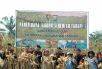 Satuan Brimob Polda Sumut melaksanakan Pemanenan Serentak Tahap III Gugus Tugas Polri Mendukung Ketahanan Pangan Nasional di lahan seluas 8 hektare, Jl. Jamin Ginting KM 22, Pancur Batu, Deli Serdang, pada Sabtu (25/10/2025).