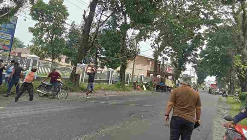 Penebangan Pohon 
