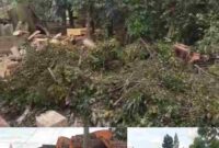 Lokasi penebangan diseputaran dan lahan jurangan (atas), kayu hasil penebangan (bawah kiri), kondisi lokasi usai dilakukan penebangan pohon (kanan bawah). 