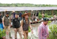 Penjabat (Pj) Sekretaris Daerah Provinsi (Sekdaprov) Sumatera Utara (Sumut) Sulaiman Harahap menegaskan bahwa Sumut telah menanam mangrove seluas 8.307 hektare pada periode 2018–2024.