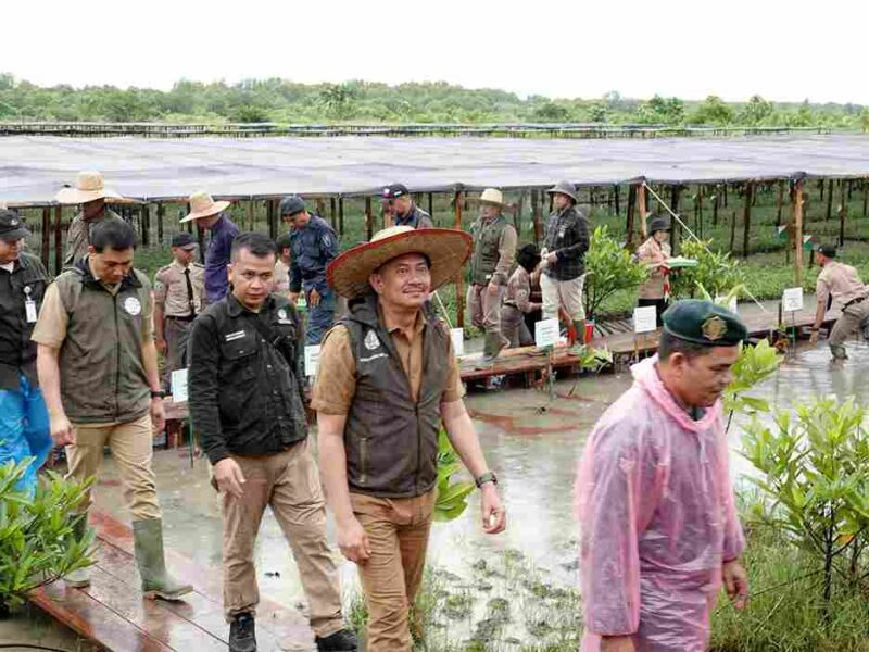 Penjabat (Pj) Sekretaris Daerah Provinsi (Sekdaprov) Sumatera Utara (Sumut) Sulaiman Harahap menegaskan bahwa Sumut telah menanam mangrove seluas 8.307 hektare pada periode 2018–2024.