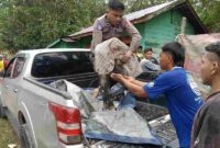 Saat salah seorang Personil Polisi melakukan evakuasi korban. 