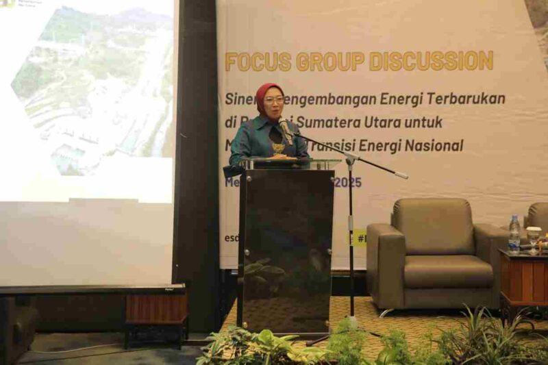 Focus Group Discussion (FGD) bertema “Sinergi Pengembangan Energi Terbarukan di Provinsi Sumatera Utara untuk Mendukung Transisi Energi Nasional”. Kegiatan berlangsung di Ballroom Hotel Grand Mercure Medan Angkasa