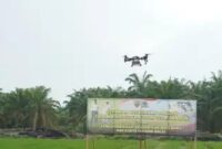 Saat pengujian Drone yang terbang diatas areal Persawahan.