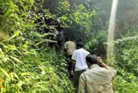 Tim gabungan melakukan pemeriksaan menyeluruh di sekitar lokasi, termasuk penyisiran dan pencarian jejak kaki yang dapat mengindikasikan keberadaan Harimau Sumatra di kawasan tersebut sejak Senin hingga Selasa, 26–27 Januari 2026.