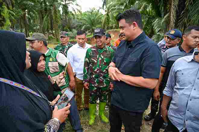 Gubernur Sumut, Bobby Nasution meninjau kondisi tanggul sungai yang rusak akibat banjir di Kecamatan Sorkam, Kabupaten Tapanuli Tengah, Kamis (19/2/2026). 