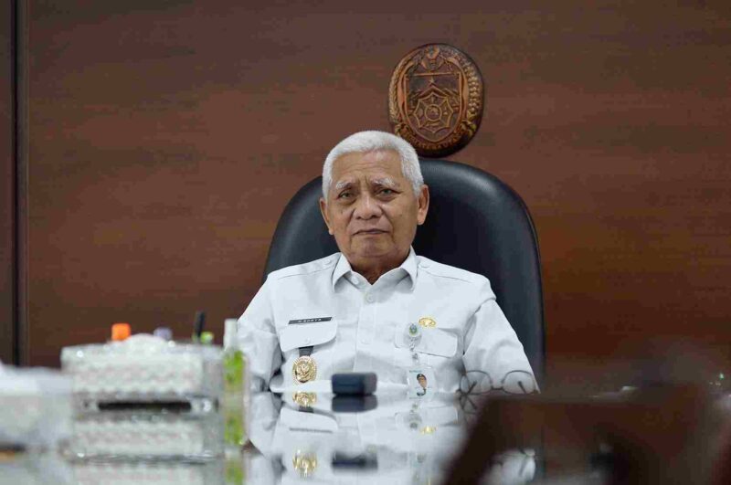 Wakil Gubernur Sumatera Utara Surya
