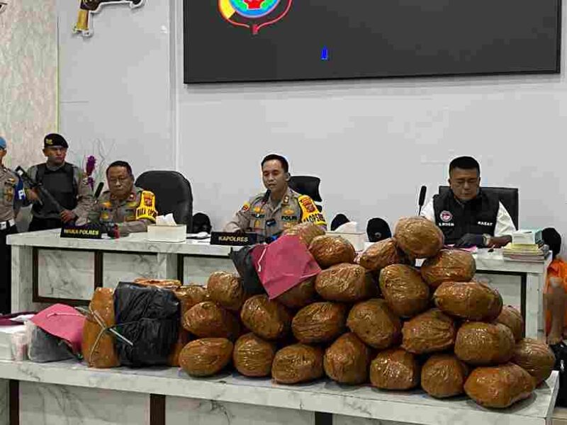 konferensi pers Polres Mandailing Natal Polres Mandailing Natal