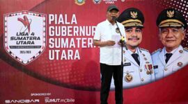 Wakil Gubernur Sumatera Utara, Surya,