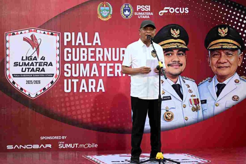 Wakil Gubernur Sumatera Utara, Surya,