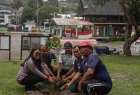 Penanaman Pohon di parapat.