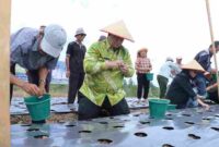 Bupati Samosir Vandiko Gultom tanam bawang putih bantuan Kementan.