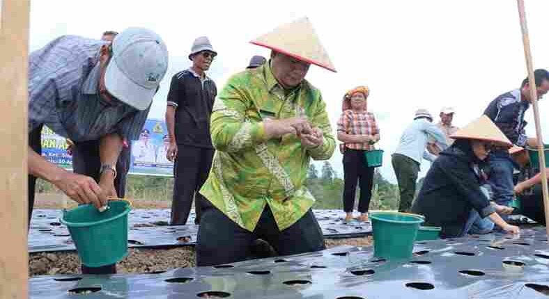 foto slider headline