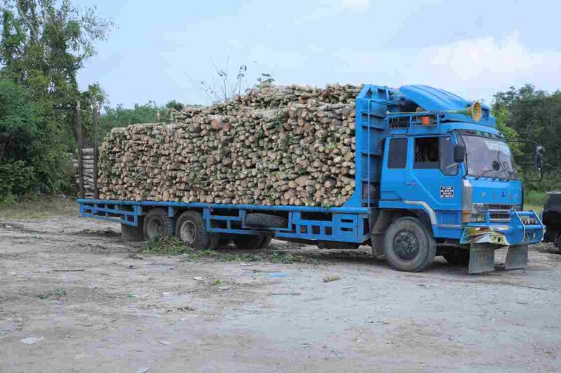 Salah satu truk pengangkut kayu di Desa Suka Damai, Kecamatan Pulo Bandring, Kamis (30 April 2026).