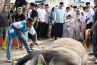 Gubernur Sumatera Utara (Sumut) Bobby Nasution dan Wakil Gubernur Sumut Surya melaksanakan Salat Iduladha 1447 Hijriah di Lapangan Merdeka Kota Binjai Jalan Veteran Kota Binjai, Rabu (27/5/2026). 