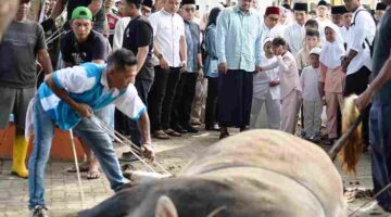 Gubernur Sumatera Utara (Sumut) Bobby Nasution dan Wakil Gubernur Sumut Surya melaksanakan Salat Iduladha 1447 Hijriah di Lapangan Merdeka Kota Binjai Jalan Veteran Kota Binjai, Rabu (27/5/2026). 