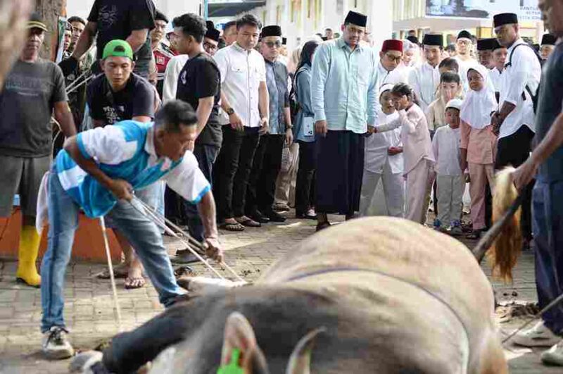 Gubernur Sumatera Utara (Sumut) Bobby Nasution dan Wakil Gubernur Sumut Surya melaksanakan Salat Iduladha 1447 Hijriah di Lapangan Merdeka Kota Binjai Jalan Veteran Kota Binjai, Rabu (27/5/2026). 