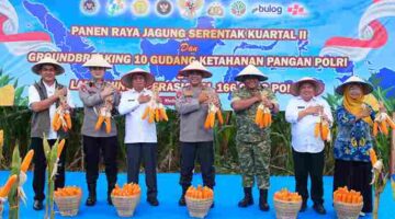 Kapolda Sumut Hadiri Panen Raya Jagung Polri Bersama Presiden Prabowo dan Kapolri