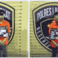 CG (24), warga Medan Johor, dan DW (30), warga Hamparan Perak, Kabupaten Deli Serdang ditangkap pihak kepolisian.