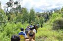 Bupati Samosir, Vandiko T. Gultom, bersama tim dari Kementerian Koordinator Bidang Pangan RI, Kementerian Pertanian RI, Badan Riset dan Inovasi Nasional (BRIN), serta Balai Besar Wilayah Sungai (BBWS) Sumatera II, melakukan peninjauan ke Kawasan Pertanian Terpadu (KPT) di Kabupaten Samosir.