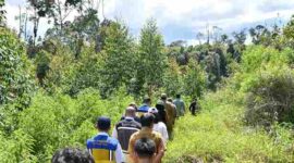 Bupati Samosir, Vandiko T. Gultom, bersama tim dari Kementerian Koordinator Bidang Pangan RI, Kementerian Pertanian RI, Badan Riset dan Inovasi Nasional (BRIN), serta Balai Besar Wilayah Sungai (BBWS) Sumatera II, melakukan peninjauan ke Kawasan Pertanian Terpadu (KPT) di Kabupaten Samosir.