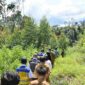 Bupati Samosir, Vandiko T. Gultom, bersama tim dari Kementerian Koordinator Bidang Pangan RI, Kementerian Pertanian RI, Badan Riset dan Inovasi Nasional (BRIN), serta Balai Besar Wilayah Sungai (BBWS) Sumatera II, melakukan peninjauan ke Kawasan Pertanian Terpadu (KPT) di Kabupaten Samosir.