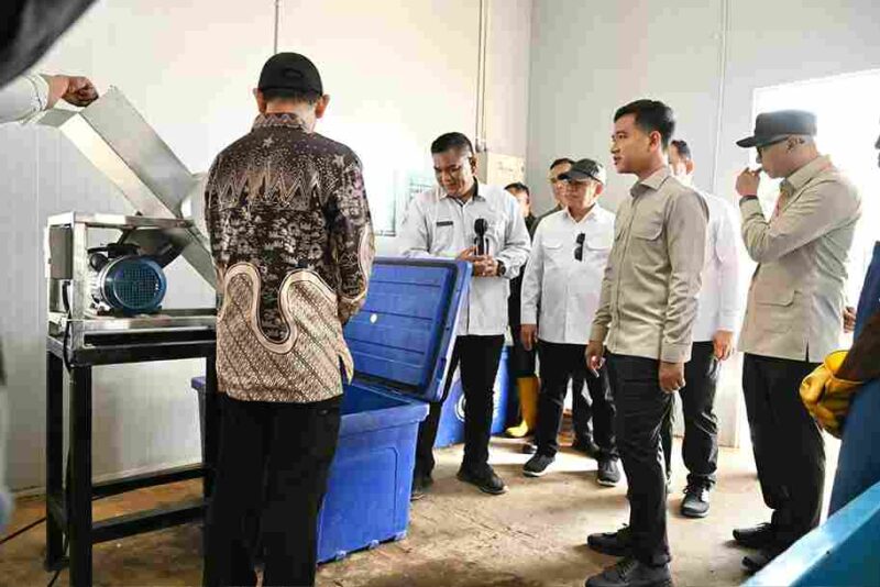 Wakil Presiden Gibran Rakabuming Raka meninjau KNMP Desa Margasari di Kecamatan Labuhan Maringgai, Kabupaten Lampung Timur, Jumat (8/5/2026),