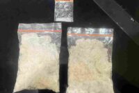 Barang bukti yang diamankan Polisi, seberat 202 gram sabu di kawasan Binjai Barat.