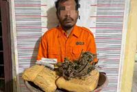 polisi mengamankan seorang pria berinisial M.S. (34), warga Dusun III Batu Mandi, Desa Sampe Raya, Kecamatan Bahorok.