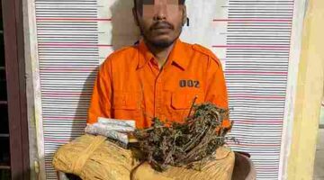 polisi mengamankan seorang pria berinisial M.S. (34), warga Dusun III Batu Mandi, Desa Sampe Raya, Kecamatan Bahorok.