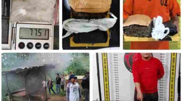 Polda Sumatera Utara menggencarkan operasi pemberantasan narkotika di berbagai wilayah Sumatera Utara.